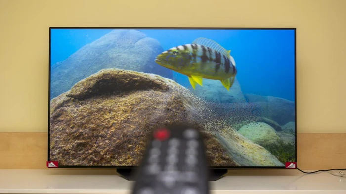 Czy telewizory OLED są naprawdę niezawodne: oto, co mówią użytkownicy