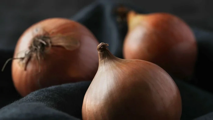 Najlepsze odmiany gigantycznej cebuli zostały nazwane: słodkie, soczyste i dobrze rosną w warunkach zimna i suszy